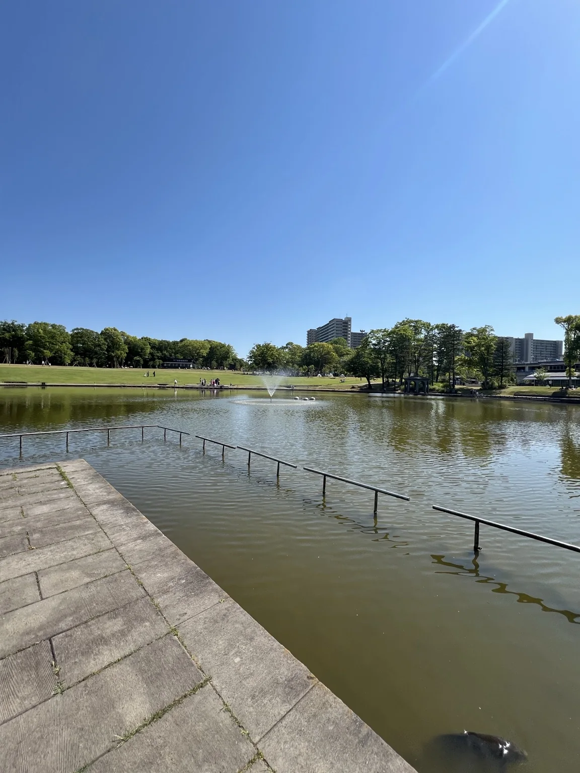 多摩市の公園と水辺の風景（LTS撮影）